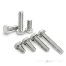 ສະແຕນເລດ screw hexagon screw